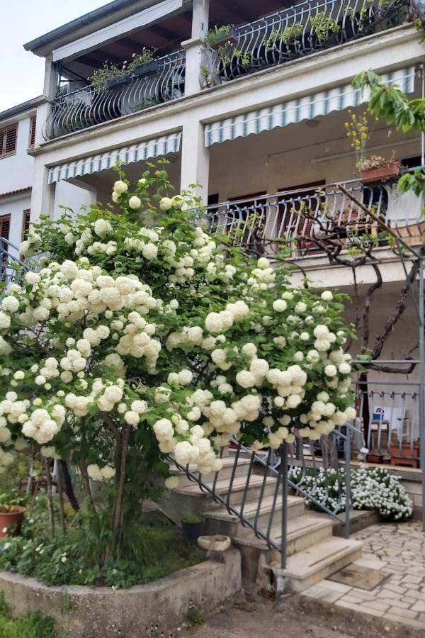 Apartments And Rooms By The Sea Rovinj - 19183 Екстериор снимка